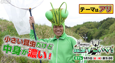 昆虫すごいぜ
