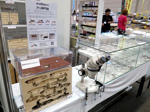 ジャパンレプタイルズショー2012