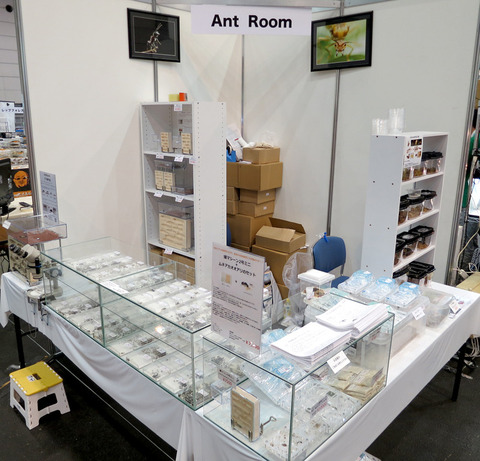 ジャパンレプタイルズショー2012