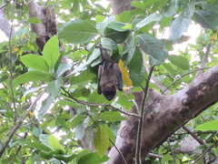 �䥨��ޥ����������