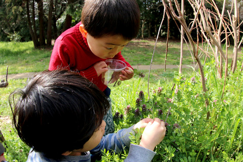 ¶á½ê¤Ç¤ª²Ö¸«