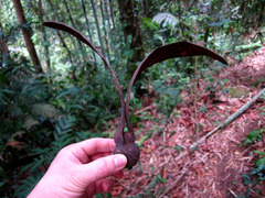 �ޥ졼���������