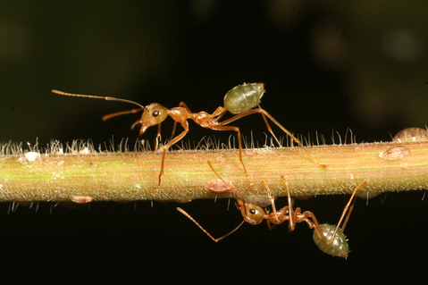 �ĥ८����