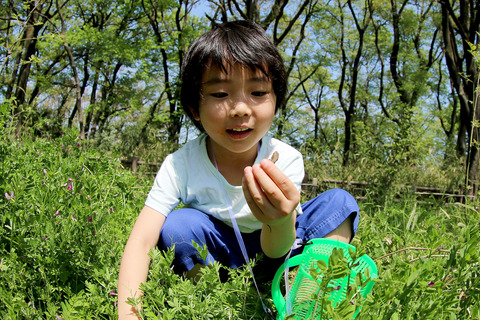 ½Õ¤Î¸ø±à¤Ç¥È¥«¥²ºÎ¤ê