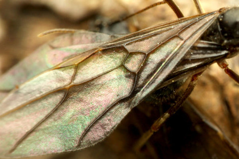 ������������