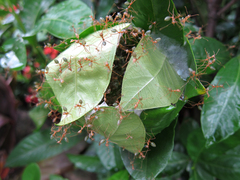 �ĥ८�������