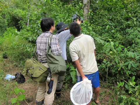 �ĥΥ���õ��