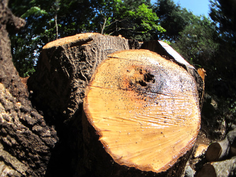 ���������������