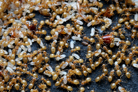 ����1ǯ7�����ܤΥ��ᥤ��������