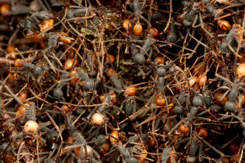 ���󥿥����ꡡ�ӥС���