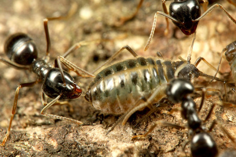 ������������ȥ��֥�ॷ