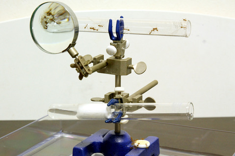 �ĥ८����λ�ɻ���