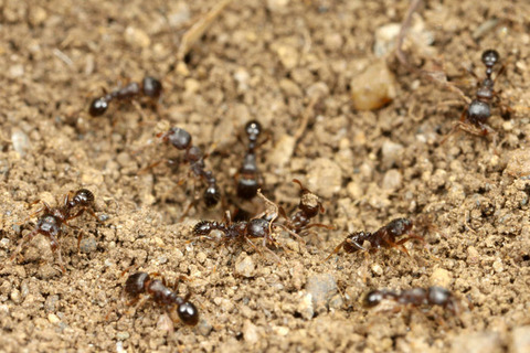 �ȥӥ������異��