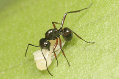 �ȥ�����