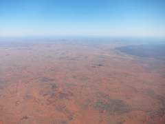 ������鸫������