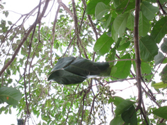 �ĥ८�������