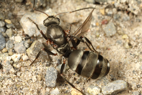 ������ޥ���ν���