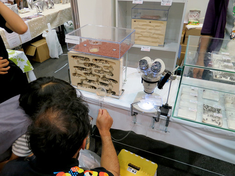 ジャパンレプタイルズショー2012