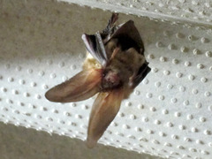 �������������