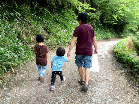 アリ探し