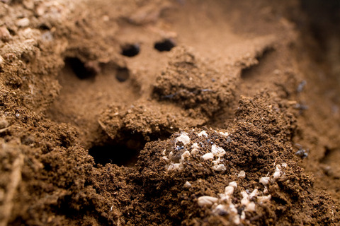 ������ޥ������