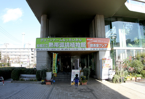 板橋区立 熱帯環境植物館 (1)