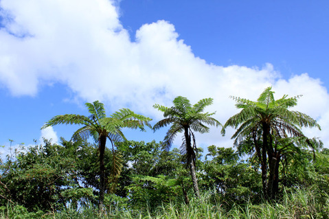 ��������λ�