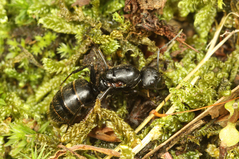 ������������