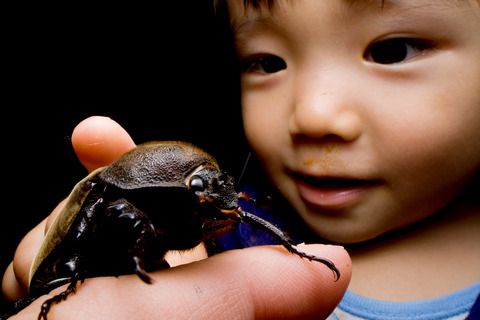 HID��Ȥäƥ饤�ȥȥ�å�