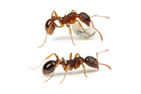 ���說��������