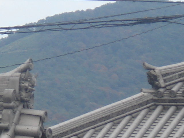 DSC03041
