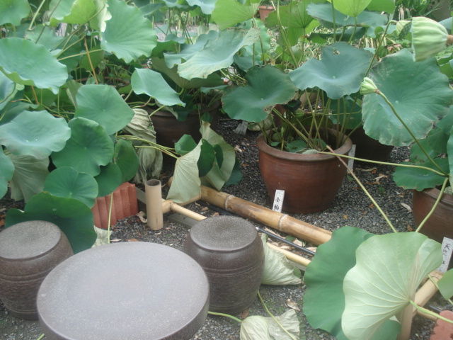 DSC03295