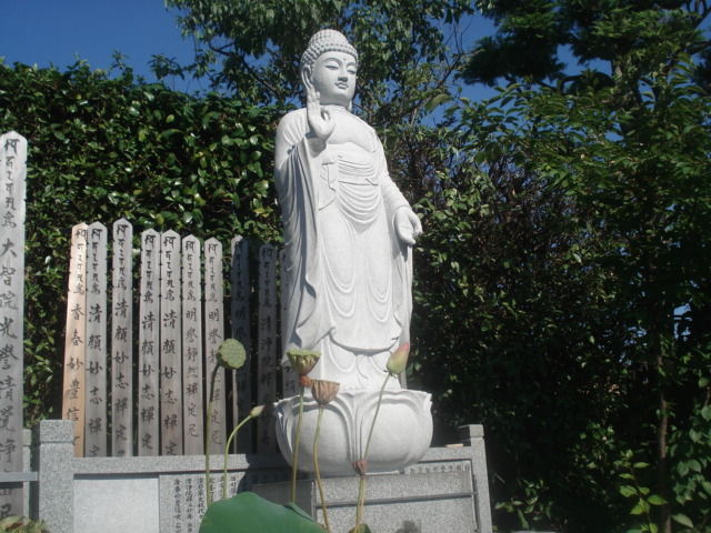 DSC03284