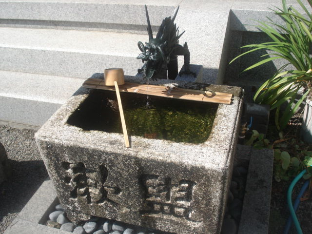 龍