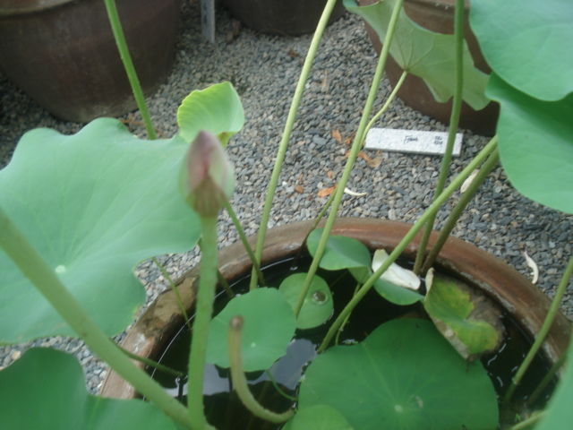 DSC03040