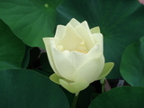 DSC01298