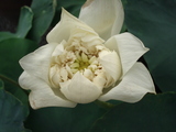 DSC02337