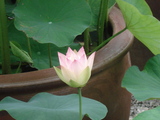 DSC01290