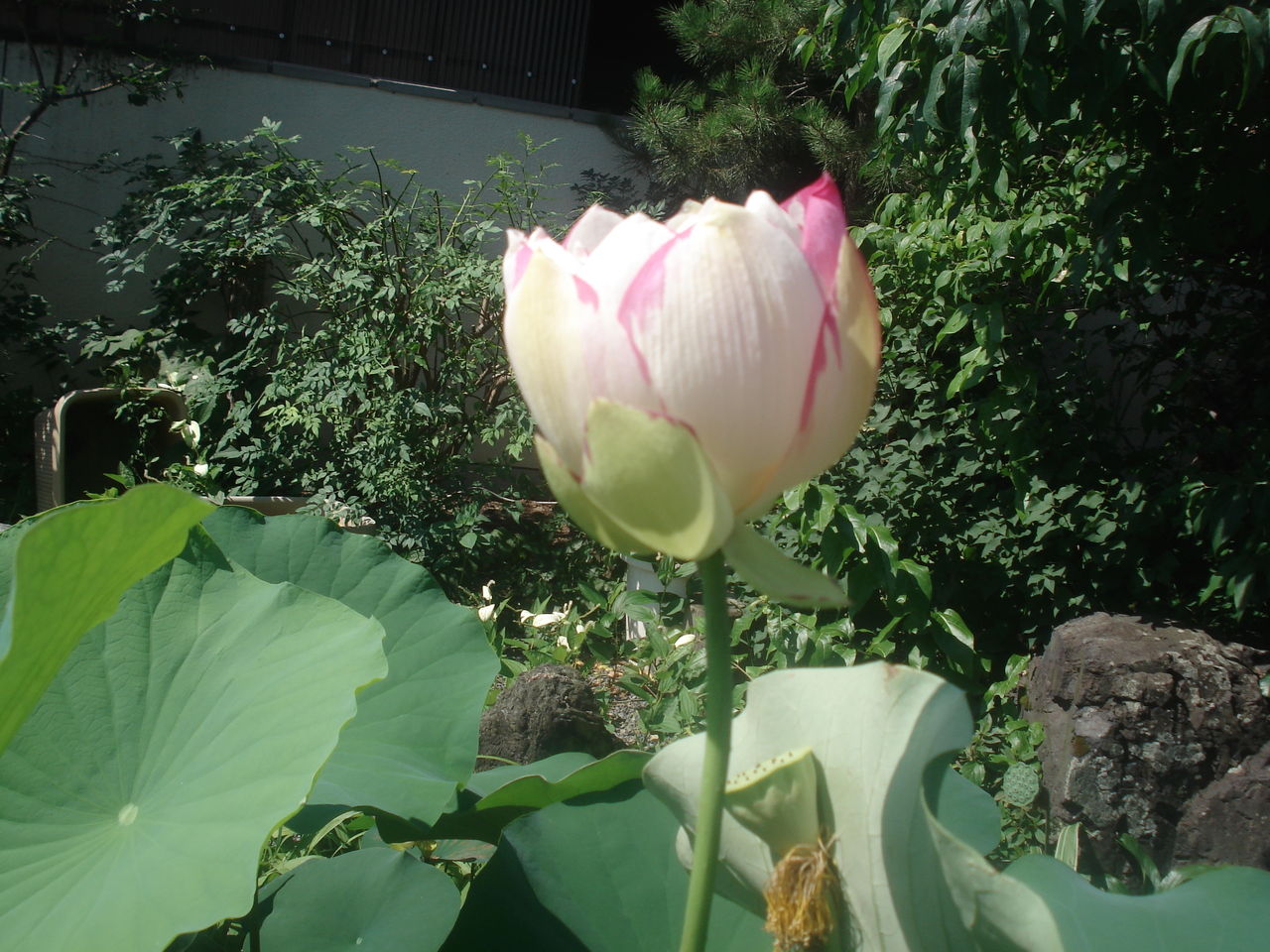 DSC03275