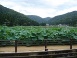 DSC02372