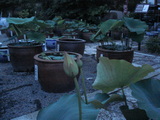 DSC02330