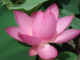 DSC02345