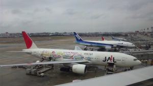 7706be50.jpg