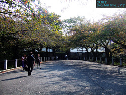 091031_hhhl_002