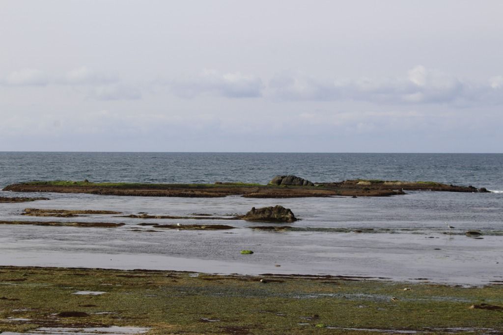 アサリ浜沖の岩