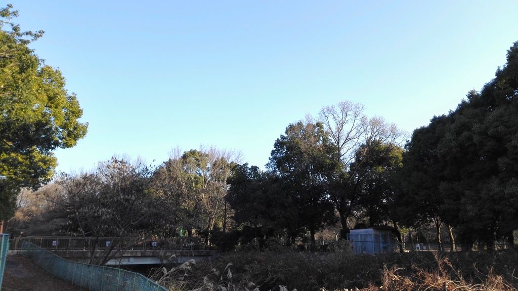 2朝宮公園