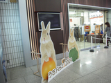 うさフェス091114_001