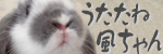 風(ふう)ちゃんバナー3