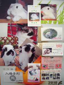 うさフェス091114_お名刺