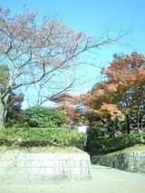 20091106_�����